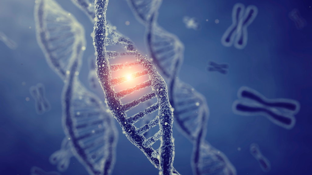 dna strand