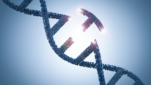 gene editing